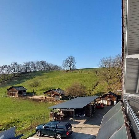 Grosse Tolle 4 Zimmer Ferienwohnung Im Herzen Des Odenwaldes Mörlenbach 外观 照片