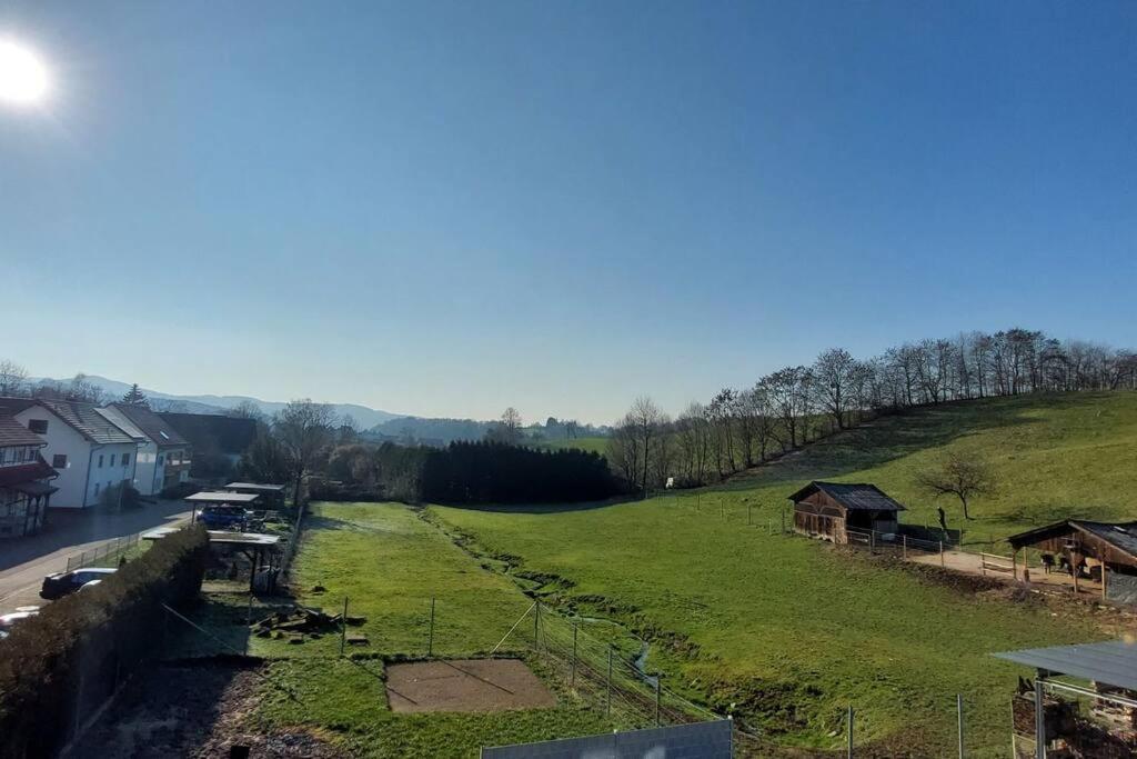 Grosse Tolle 4 Zimmer Ferienwohnung Im Herzen Des Odenwaldes Mörlenbach 外观 照片