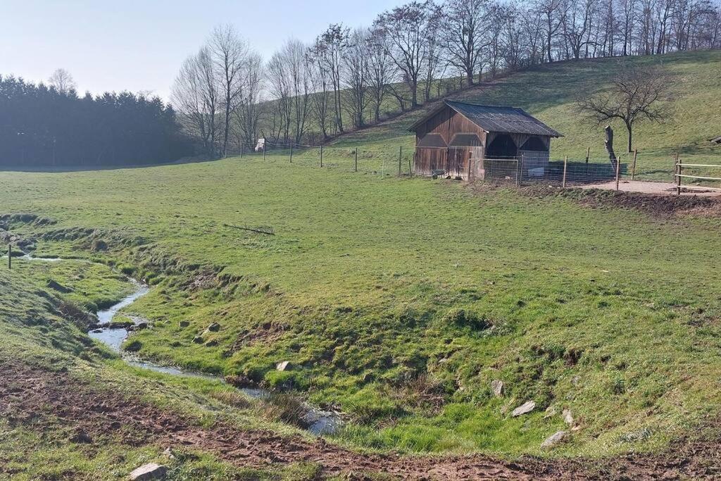 Grosse Tolle 4 Zimmer Ferienwohnung Im Herzen Des Odenwaldes Mörlenbach 外观 照片