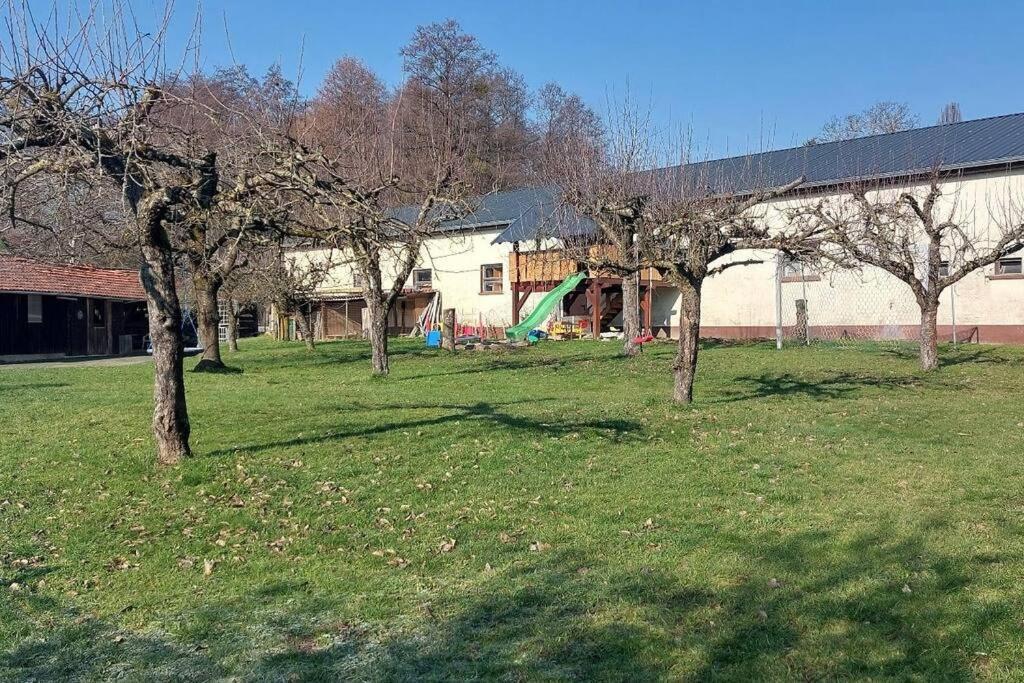 Grosse Tolle 4 Zimmer Ferienwohnung Im Herzen Des Odenwaldes Mörlenbach 外观 照片